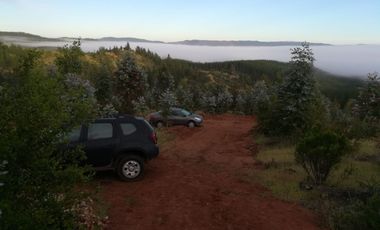 PARCELA COMUNA CUREPTO PUEBLO GUALLECO,TALCA