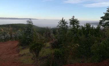 PARCELA COMUNA CUREPTO PUEBLO GUALLECO,TALCA