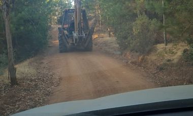 PARCELA COMUNA CUREPTO PUEBLO GUALLECO,TALCA