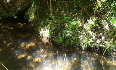PARCELA COMUNA CUREPTO PUEBLO GUALLECO,TALCA