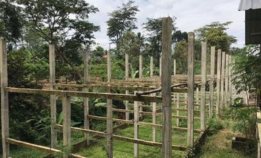 Kandang Ayam di Kesamben Blitar: Jual Cepat, Harga Bersahabat