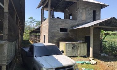 Kandang Ayam di Kesamben Blitar: Jual Cepat, Harga Bersahabat