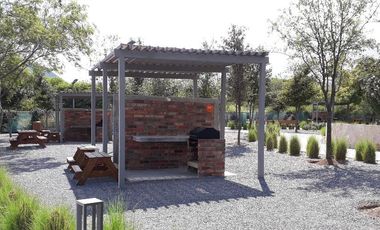 Departamento en Renta en Nuevo Sur