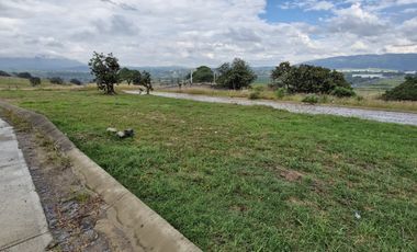 Terreno Punta Bosque residencial