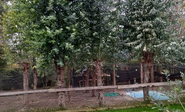 PARCELA 5120 , PAINE.