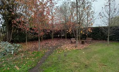 PARCELA 5120 , PAINE.