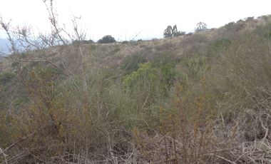 Venta Casablanca  Parcela 6732 mt2 Reserva Puro Caballo, Casablanca