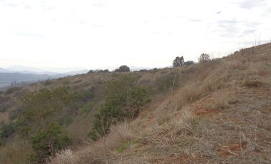 Venta Casablanca  Parcela 6732 mt2 Reserva Puro Caballo, Casablanca