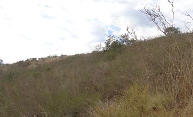 Venta Casablanca  Parcela 6732 mt2 Reserva Puro Caballo, Casablanca