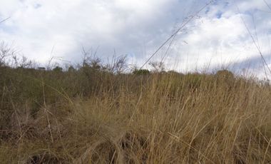 Venta Casablanca  Parcela 6732 mt2 Reserva Puro Caballo, Casablanca