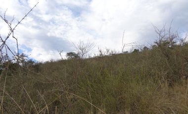 Venta Casablanca  Parcela 6732 mt2 Reserva Puro Caballo, Casablanca