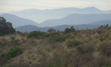 Venta Casablanca  Parcela 6732 mt2 Reserva Puro Caballo, Casablanca