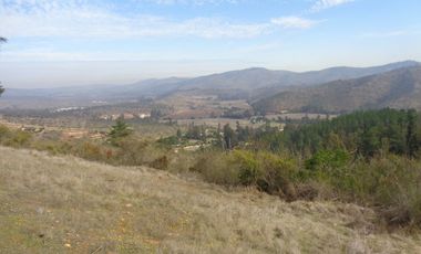 Venta Casablanca  Parcela 6732 mt2 Reserva Puro Caballo, Casablanca