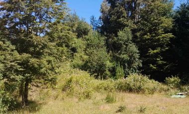 PARCELA DE 1 HECTÁREA EN SECTOR CASA BLANCA VALDIVIA