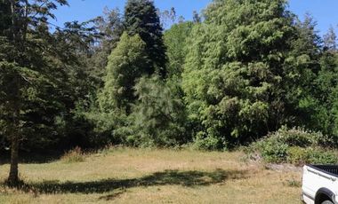 PARCELA DE 1 HECTÁREA EN SECTOR CASA BLANCA VALDIVIA