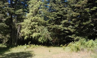 PARCELA DE 1 HECTÁREA EN SECTOR CASA BLANCA VALDIVIA