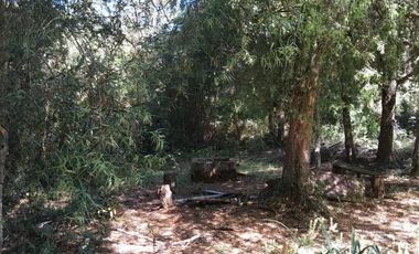 PARCELA DE 1 HECTÁREA EN SECTOR CASA BLANCA VALDIVIA