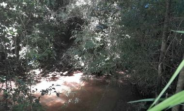 PARCELA DE 1 HECTÁREA EN SECTOR CASA BLANCA VALDIVIA