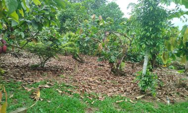 VENDO HERMOSA QUINTA EN PUERTO QUITO A ORILLAS CAONI
