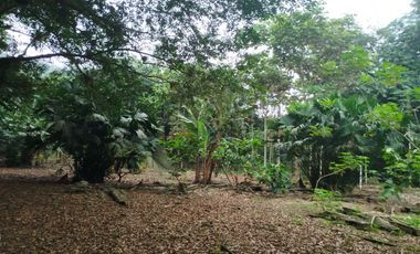 VENDO HERMOSA QUINTA EN PUERTO QUITO A ORILLAS CAONI