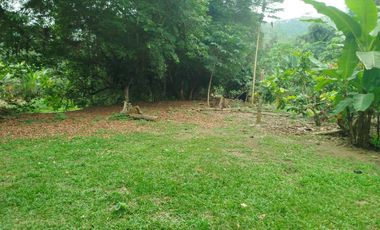 VENDO HERMOSA QUINTA EN PUERTO QUITO A ORILLAS CAONI