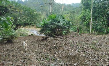 VENDO HERMOSA QUINTA EN PUERTO QUITO A ORILLAS CAONI