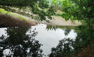 VENDO HERMOSA QUINTA EN PUERTO QUITO A ORILLAS CAONI