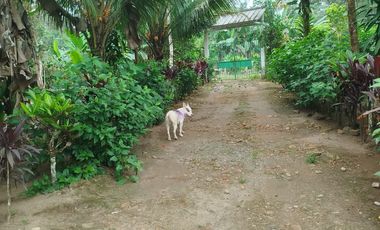VENDO HERMOSA QUINTA EN PUERTO QUITO A ORILLAS CAONI