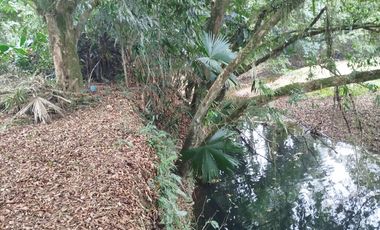 VENDO HERMOSA QUINTA EN PUERTO QUITO A ORILLAS CAONI