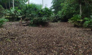 VENDO HERMOSA QUINTA EN PUERTO QUITO A ORILLAS CAONI