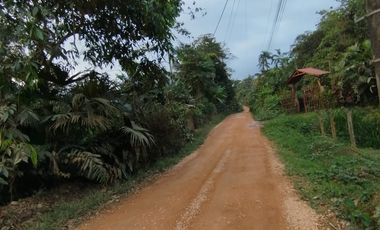 VENDO HERMOSA QUINTA EN PUERTO QUITO A ORILLAS CAONI