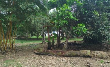 VENDO HERMOSA QUINTA EN PUERTO QUITO A ORILLAS CAONI