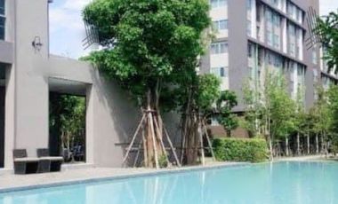 For sale with tenant, Condo D Condo Campus Resort Bangna, complete common area, near ABAC Suvarnabhumi Campus.