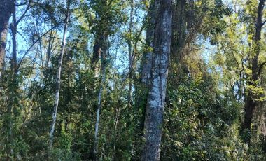 52 parcelas aprobadas, en Gorbea