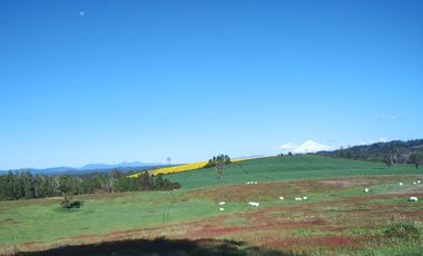 52 parcelas aprobadas, en Gorbea