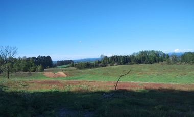 52 parcelas aprobadas, en Gorbea