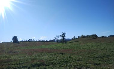52 parcelas aprobadas, en Gorbea