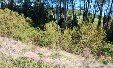 52 parcelas aprobadas, en Gorbea