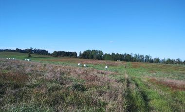 52 parcelas aprobadas, en Gorbea