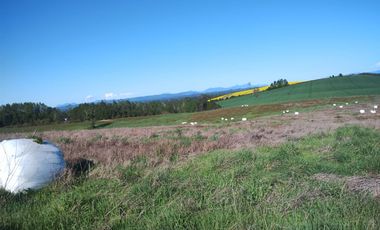 52 parcelas aprobadas, en Gorbea