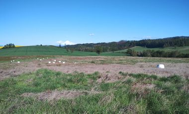 52 parcelas aprobadas, en Gorbea