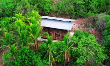 Terreno de 6 hectáreas y 4700 m2 , a tan solo 14 km de Tarapoto, te ofrece la tranquilidad que buscas sin renunciar a las comodidades.