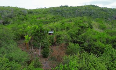 Terreno de 6 hectáreas y 4700 m2 , a tan solo 14 km de Tarapoto, te ofrece la tranquilidad que buscas sin renunciar a las comodidades.