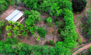 Terreno de 6 hectáreas y 4700 m2 , a tan solo 14 km de Tarapoto, te ofrece la tranquilidad que buscas sin renunciar a las comodidades.