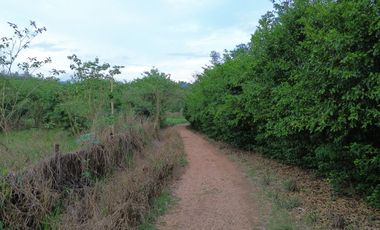 Terreno de 6 hectáreas y 4700 m2 , a tan solo 14 km de Tarapoto, te ofrece la tranquilidad que buscas sin renunciar a las comodidades.
