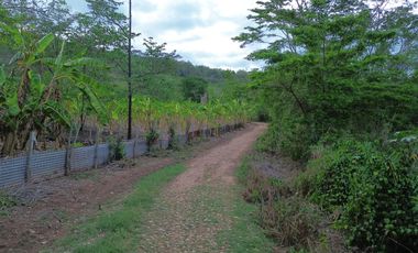 Terreno de 6 hectáreas y 4700 m2 , a tan solo 14 km de Tarapoto, te ofrece la tranquilidad que buscas sin renunciar a las comodidades.