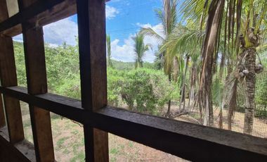 Terreno de 6 hectáreas y 4700 m2 , a tan solo 14 km de Tarapoto, te ofrece la tranquilidad que buscas sin renunciar a las comodidades.