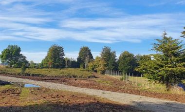 PARCELA, AVELLANOS DE TRAPEN, PUERTO MONTT