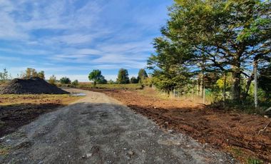 PARCELA, AVELLANOS DE TRAPEN, PUERTO MONTT