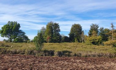 PARCELA, AVELLANOS DE TRAPEN, PUERTO MONTT